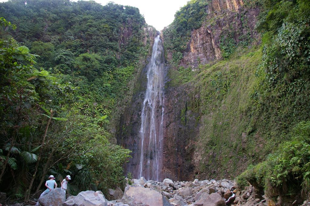 Kaz Creole Aventure Tropicale Insolite, Fibre, Jardin Et Jacuzzi Prives Saint-Francois (Grande-Terre) Exterior foto
