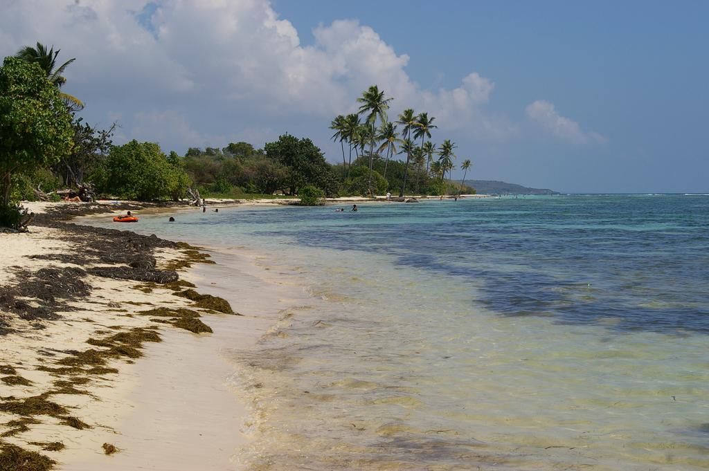 Kaz Creole Aventure Tropicale Insolite, Fibre, Jardin Et Jacuzzi Prives Saint-Francois (Grande-Terre) Exterior foto