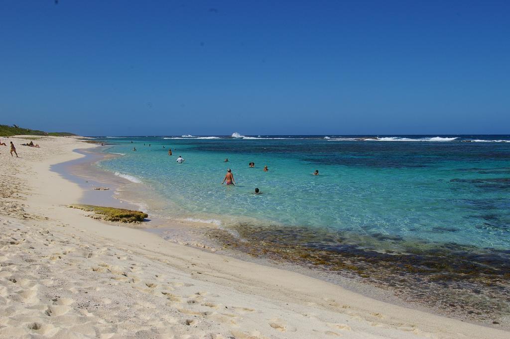 Kaz Creole Aventure Tropicale Insolite, Fibre, Jardin Et Jacuzzi Prives Saint-Francois (Grande-Terre) Exterior foto