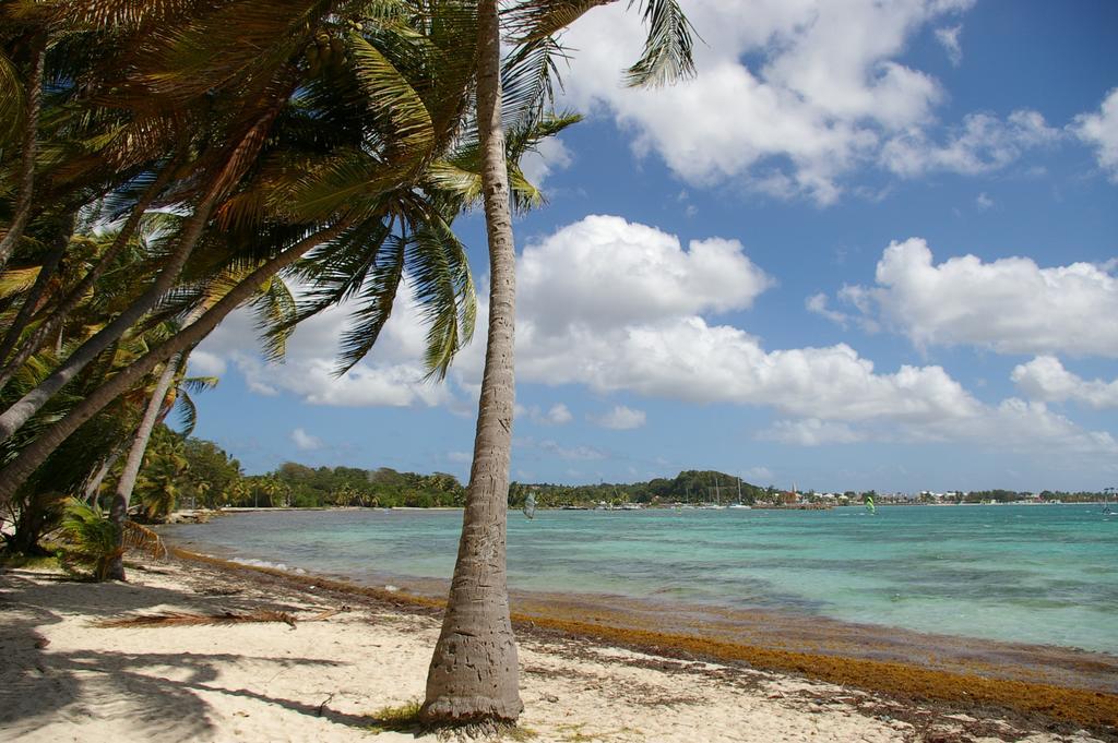 Kaz Creole Aventure Tropicale Insolite, Fibre, Jardin Et Jacuzzi Prives Saint-Francois (Grande-Terre) Exterior foto