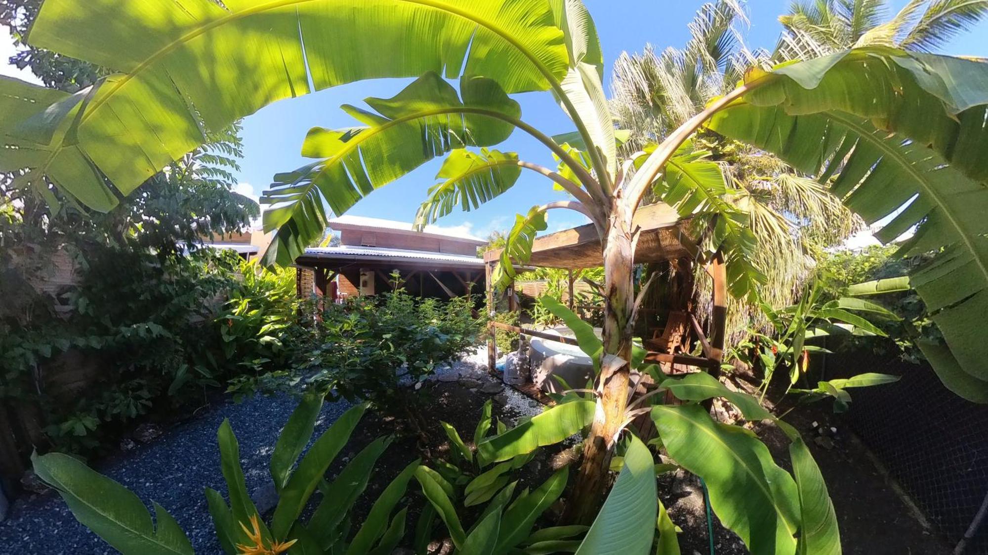 Kaz Creole Aventure Tropicale Insolite, Fibre, Jardin Et Jacuzzi Prives Saint-Francois (Grande-Terre) Exterior foto